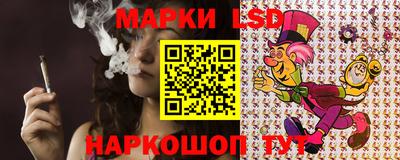 Альфа ПВП Камышлов