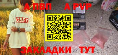кокс Кингисепп