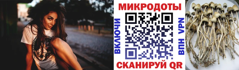 Галлюциногенные грибы мицелий  Купить закладки  Мыски 