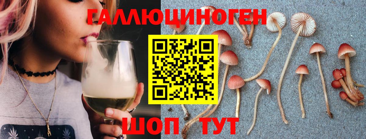 Галлюциногенные грибы мухоморы Мыски