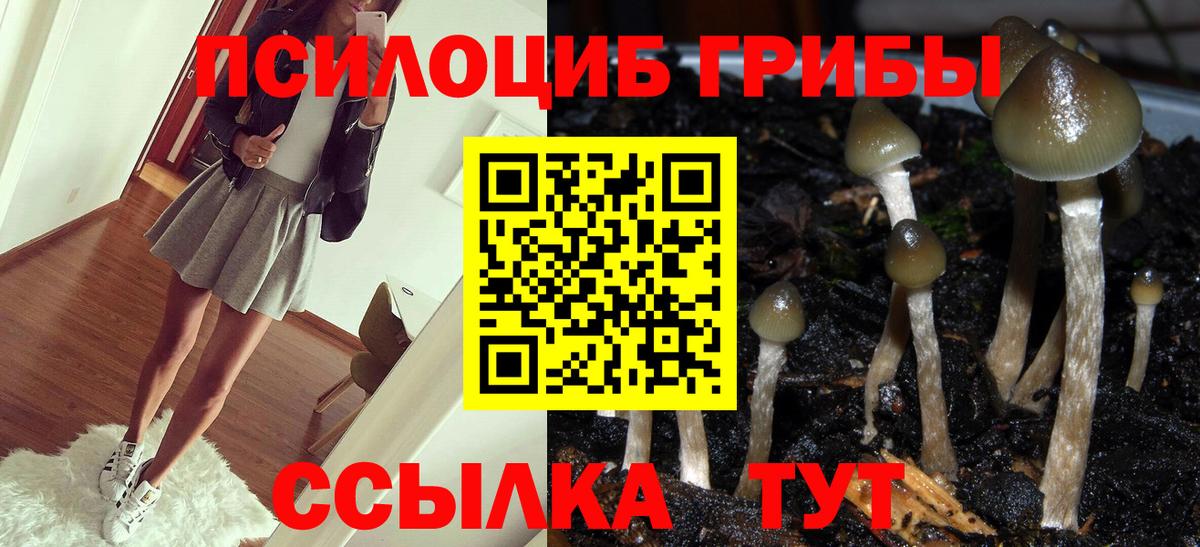 Мыски  цены наркотик  Вход с VPN  Псилоцибиновые грибы Cubensis 