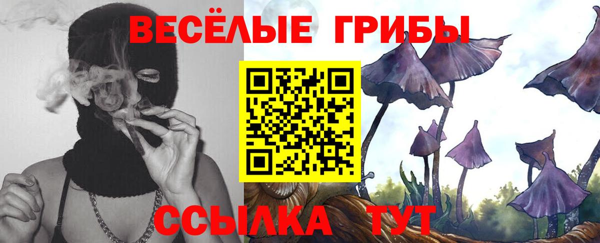 Псилоцибиновые грибы Cubensis  Псилоцибиновые грибы ЛСД  Мыски 