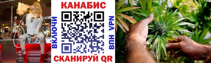 Купить где  Мыски  Каннабис SATIVA & INDICA 