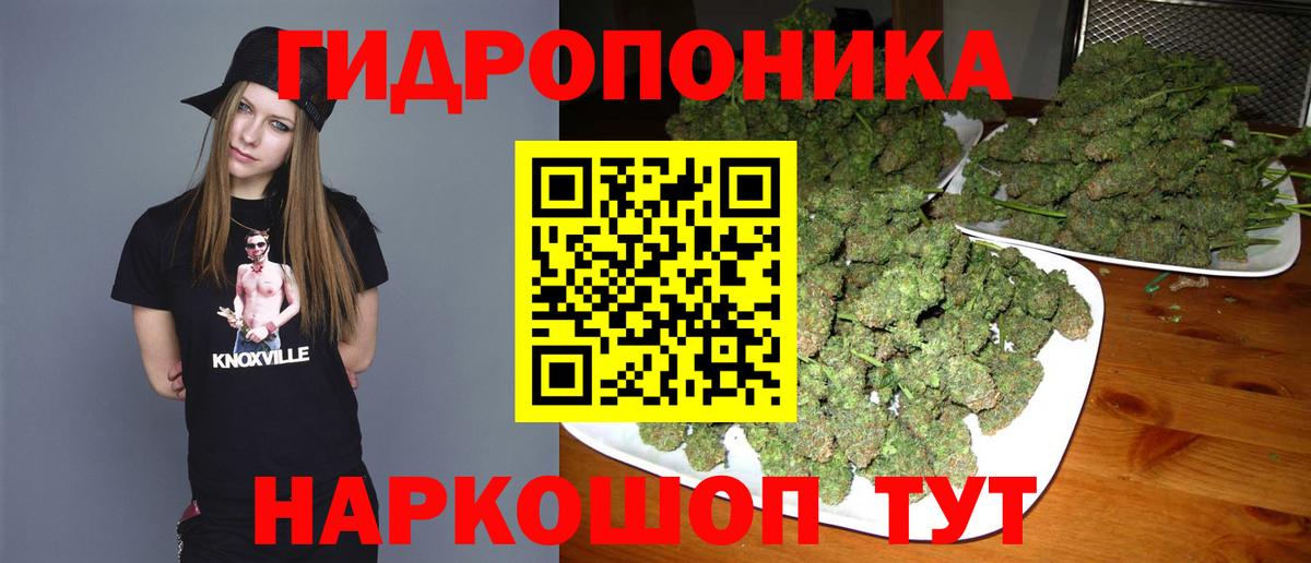 Мыски  Конопля ГИДРОПОН  Вход с VPN  Марихуана OG Kush  МАРИХУАНА White Widow 